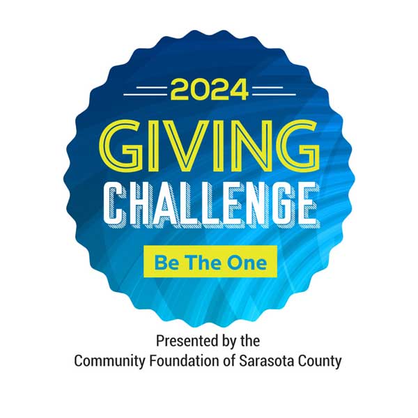 Cinta del desafío de donaciones 2024